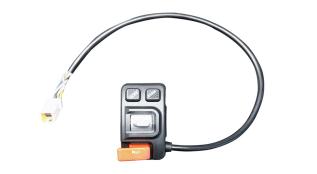 Combination Switch L